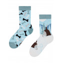 Veselé dětské teplé ponožky Dedoles Pes ve sněhu (D-K-SC-WS-C-C-1408)