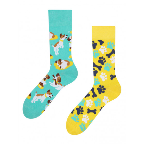 3PACK Veselé ponožky Dedoles (RS113741)