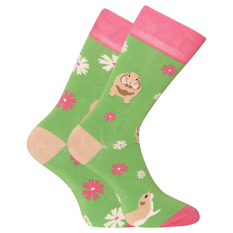 E-shop Veselé bambusové ponožky Dedoles Sysel