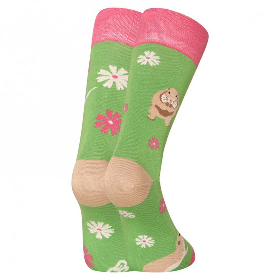 Veselé bambusové ponožky Dedoles Sysel (D-U-SC-RS-C-B-1555)
