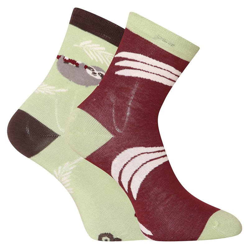 E-shop Veselé dětské ponožky Dedoles Lenochod