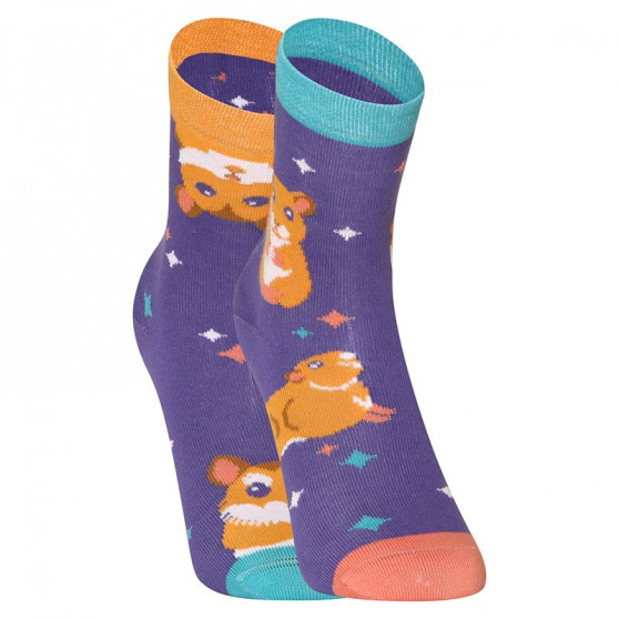 Veselé dětské ponožky Dedoles Křeček (GMKS1128)