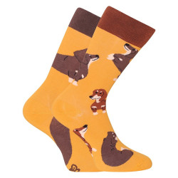 Veselé ponožky Dedoles Jezevčík (GMRS196)