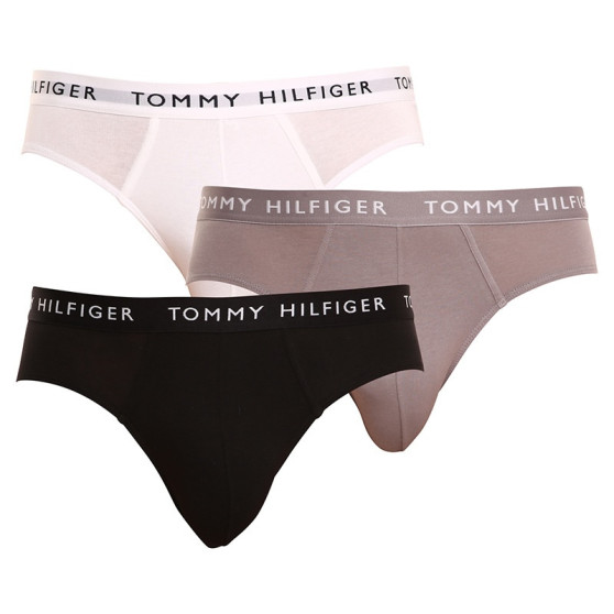 3PACK pánské slipy Tommy Hilfiger vícebarevné (UM0UM02206 0TG)