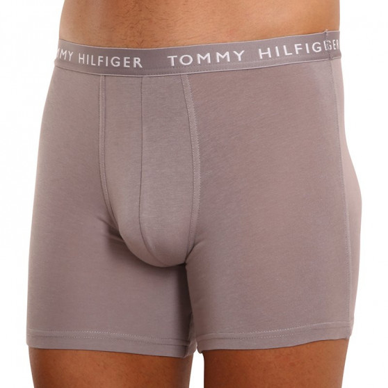 3PACK pánské boxerky Tommy Hilfiger vícebarevné (UM0UM02204 0TG)