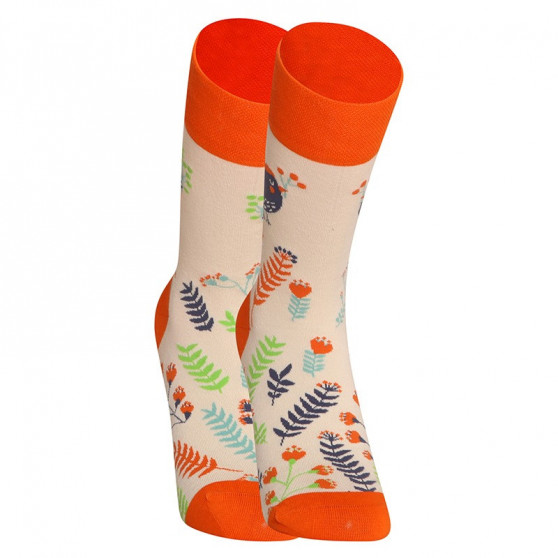 Veselé ponožky Dedoles Roztomilí ptáčci (D-U-SC-RS-C-C-1569)