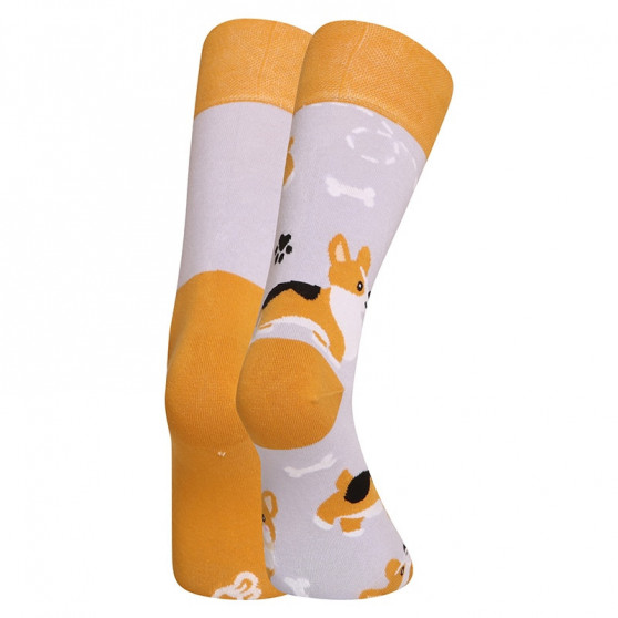 Veselé ponožky Dedoles Pes Corgi (GMRS241)