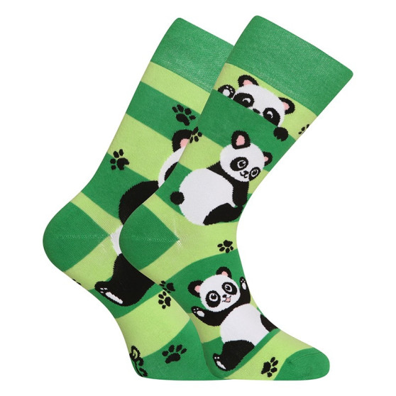 Veselé ponožky Dedoles Pandy a pásky (GMRS249)