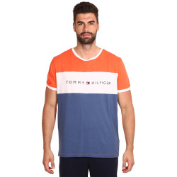 Pánské tričko Tommy Hilfiger vícebarevné (UM0UM01170 XMV)