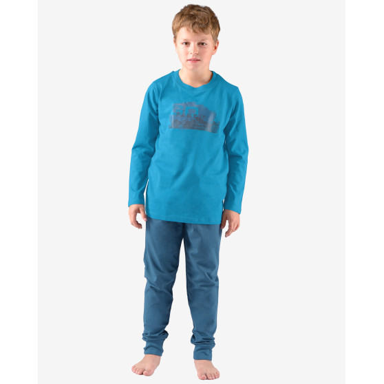 Chlapecké pyžamo Gino vícebarevné (69003-MGADZM)
