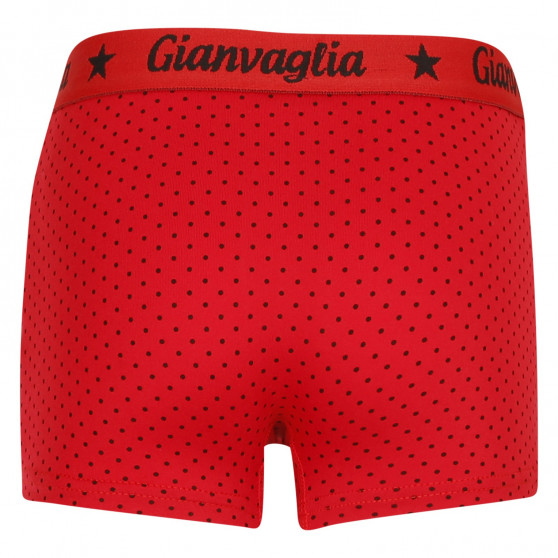 5PACK dívčí kalhotky s nohavičkou boxerky Gianvaglia vícebarevné (812)