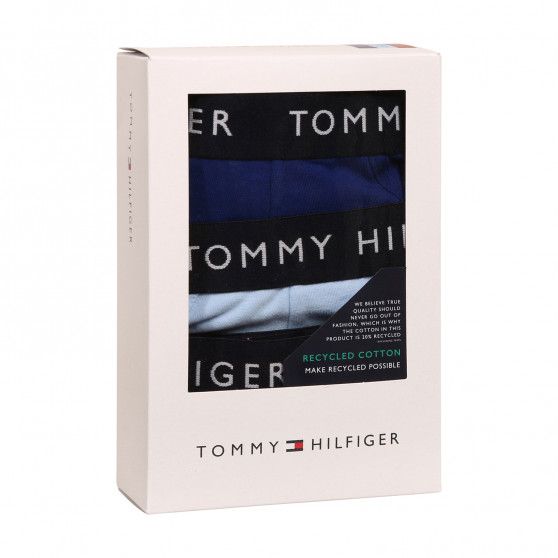 3PACK pánské slipy Tommy Hilfiger vícebarevné (UM0UM02206 0SJ)