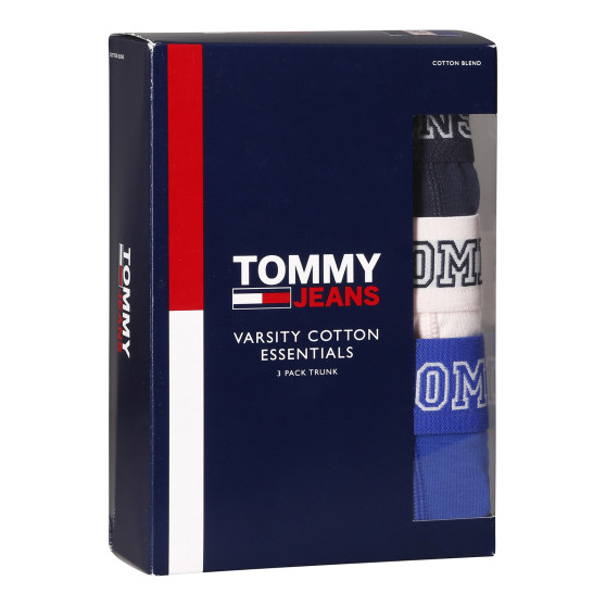 3PACK pánské boxerky Tommy Hilfiger vícebarevné (UM0UM02850 0T8)