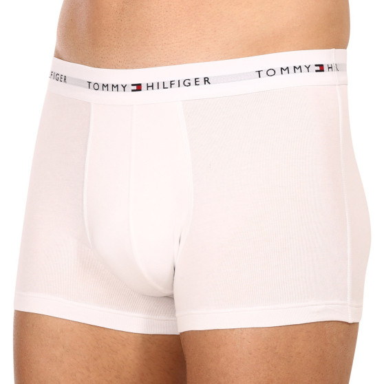 3PACK pánské boxerky Tommy Hilfiger vícebarevné (UM0UM02761 0UB)