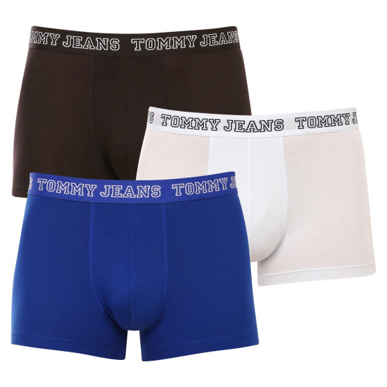 3PACK pánské boxerky Tommy Hilfiger vícebarevné (UM0UM02850 0TV)