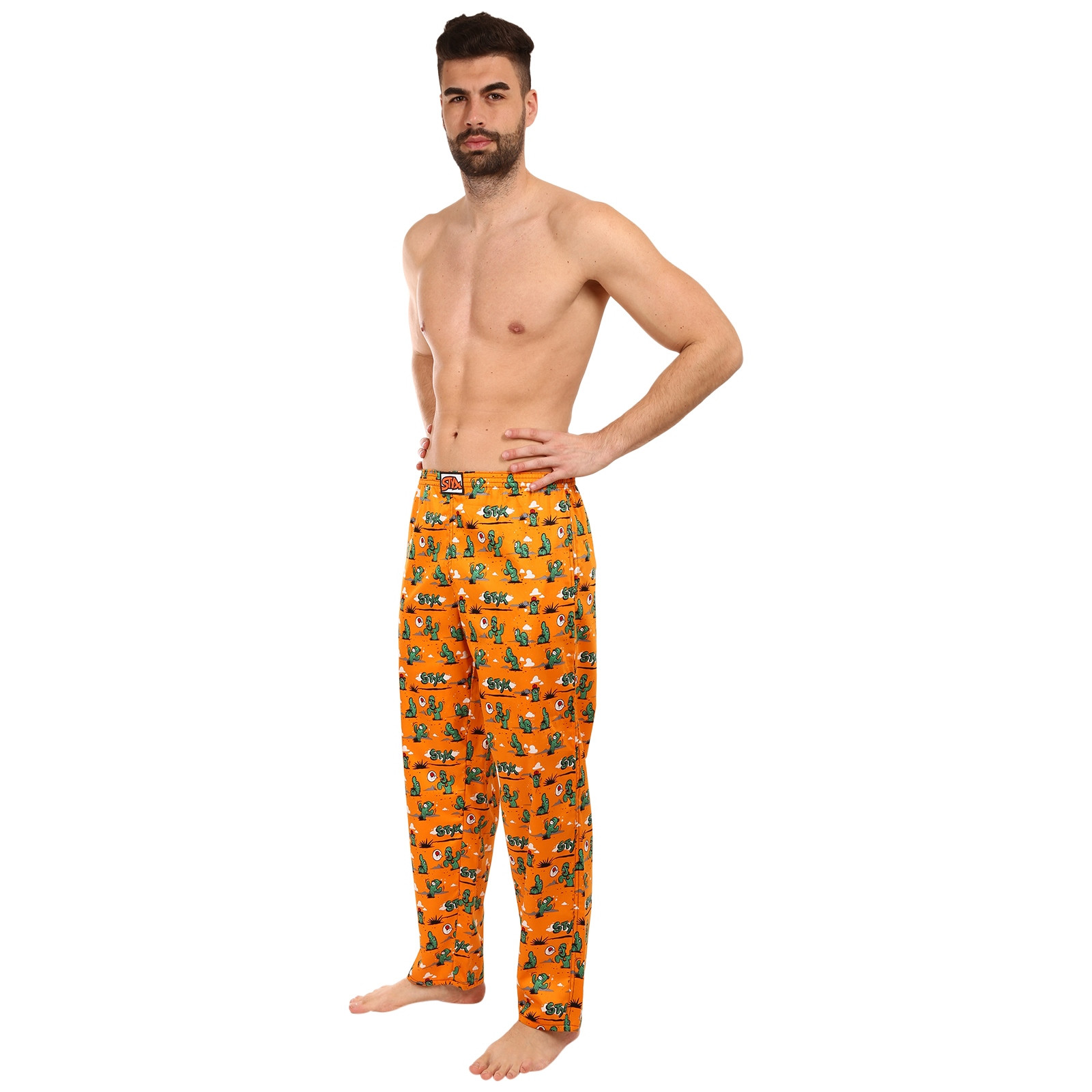 E-shop Pánské kalhoty na spaní Styx kaktusy