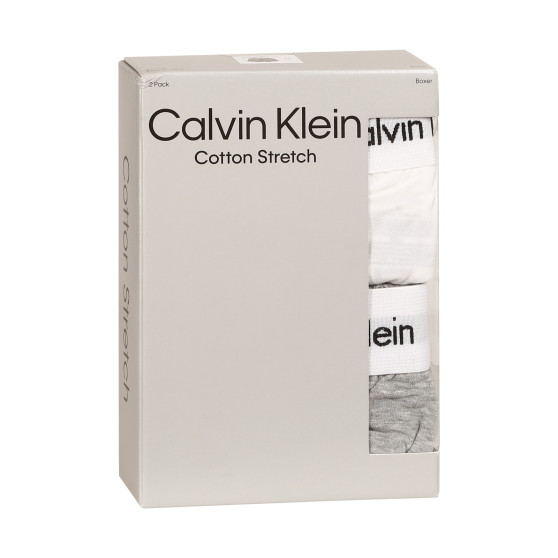 2PACK pánské trenky Calvin Klein vícebarevné (NB3522A-BL6)