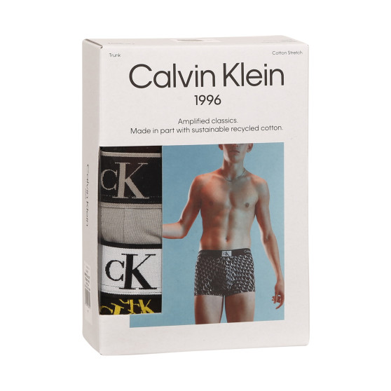 3PACK pánské boxerky Calvin Klein vícebarevné (NB3528A-DXT)