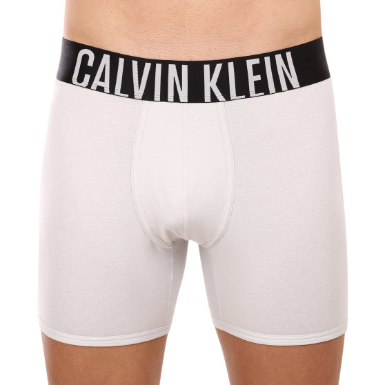 2PACK pánské boxerky Calvin Klein vícebarevné (NB2603A-C2D)