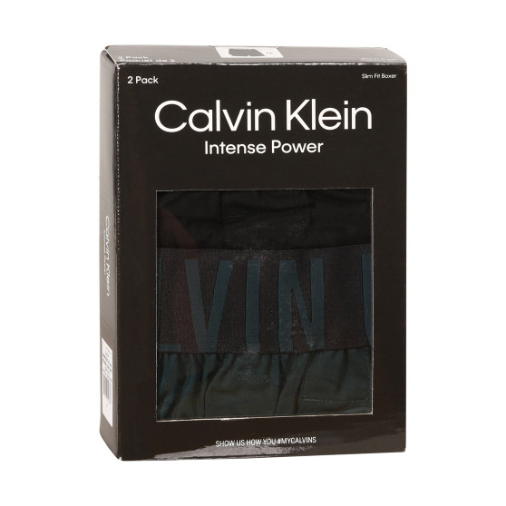 2PACK pánské trenky Calvin Klein vícebarevné (NB2637A-CAA)