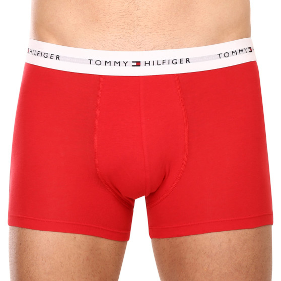 3PACK pánské boxerky Tommy Hilfiger vícebarevné (UM0UM02761 0TS)