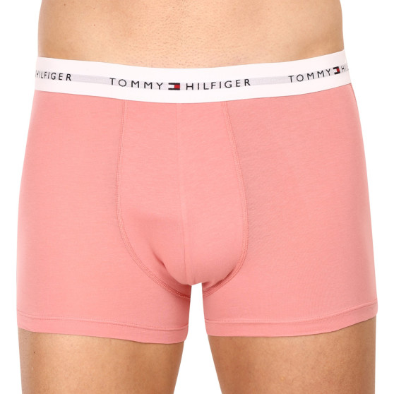 3PACK pánské boxerky Tommy Hilfiger vícebarevné (UM0UM02761 0R4)