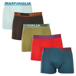 5PACK pánské boxerky Gianvaglia vícebarevné (GVG-5009)