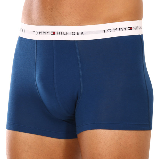 3PACK pánské boxerky Tommy Hilfiger vícebarevné (UM0UM02761 0SR)