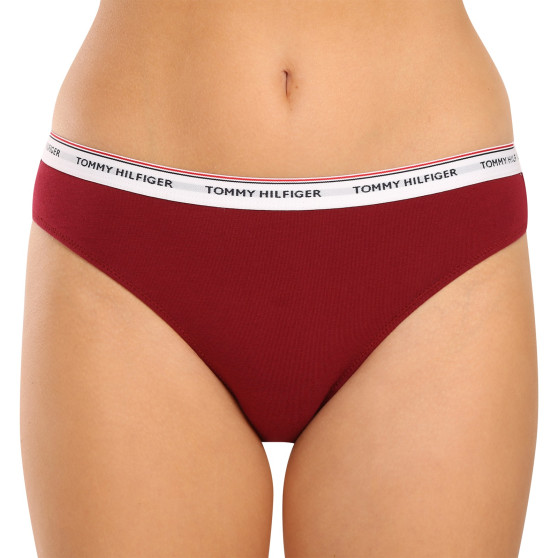 3PACK dámské kalhotky Tommy Hilfiger vícebarevné (UW0UW04895 0R3)