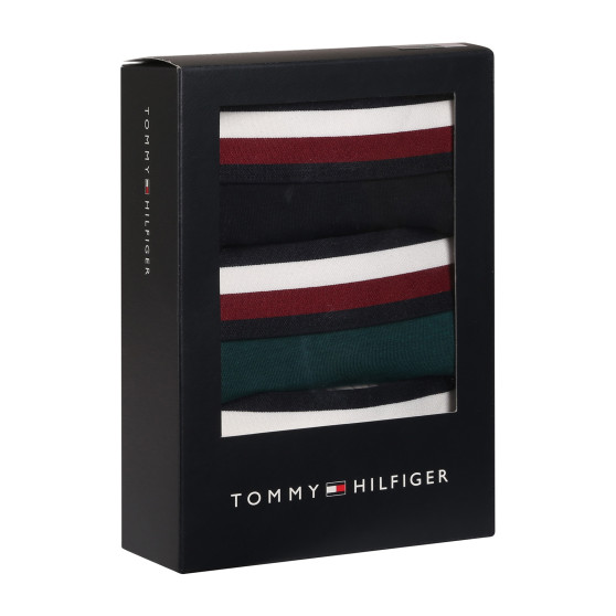 3PACK pánské boxerky Tommy Hilfiger vícebarevné (UM0UM03035 0T1)