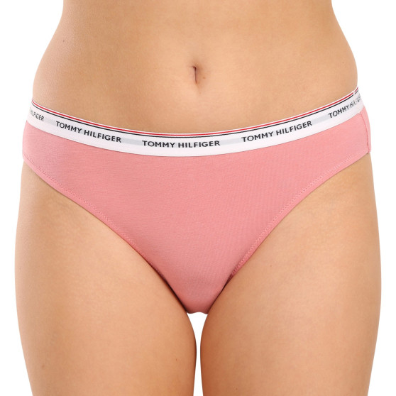 3PACK dámské kalhotky Tommy Hilfiger nadrozměr vícebarevné (UW0UW04895 0R6)