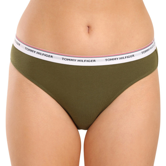3PACK dámské kalhotky Tommy Hilfiger nadrozměr vícebarevné (UW0UW04895 0R6)