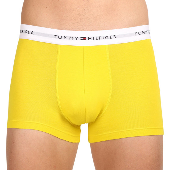 3PACK pánské boxerky Tommy Hilfiger vícebarevné (UM0UM02761 0XN)