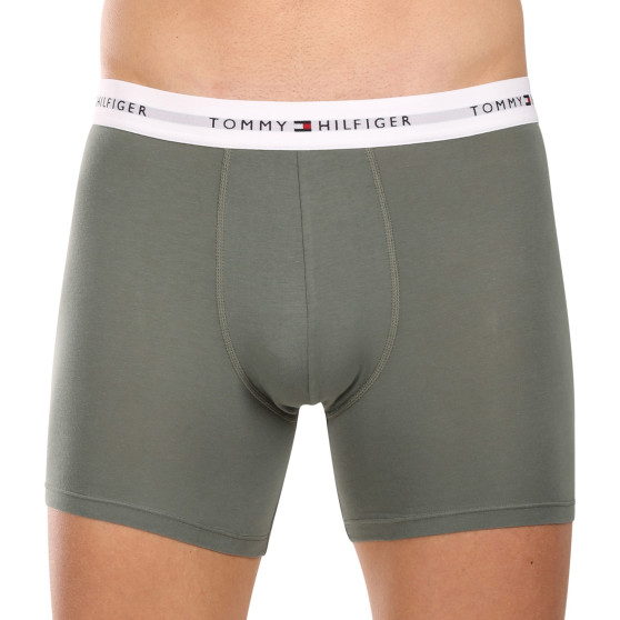 3PACK pánské boxerky Tommy Hilfiger vícebarevné (UM0UM02941 0XY)