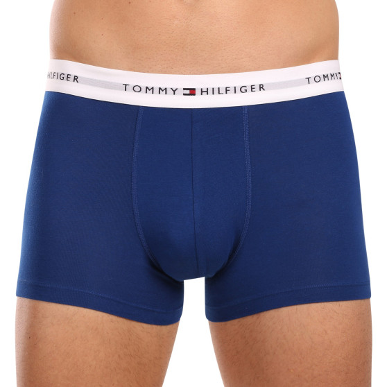 3PACK pánské boxerky Tommy Hilfiger vícebarevné (UM0UM02761 0XZ)